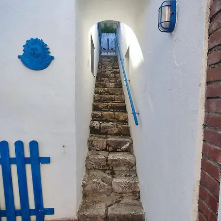 Pino Marino San Felice Circeo